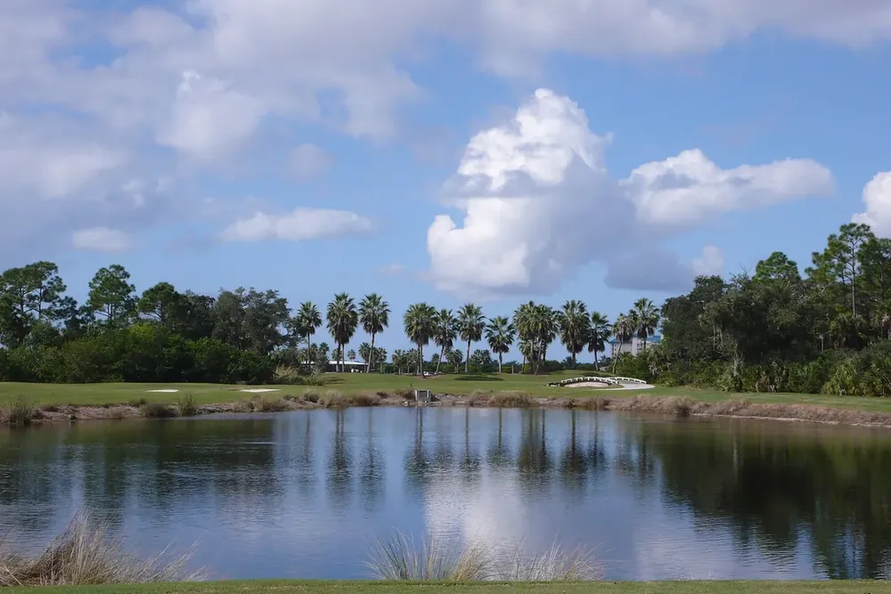 A pond and palm-lined fairway on the Shell Point golf course in Iona, Florida