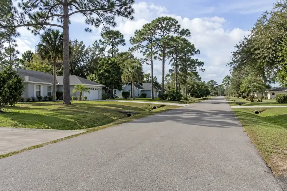 Illustration of a typical residential street in the San Carlos Park, FL area